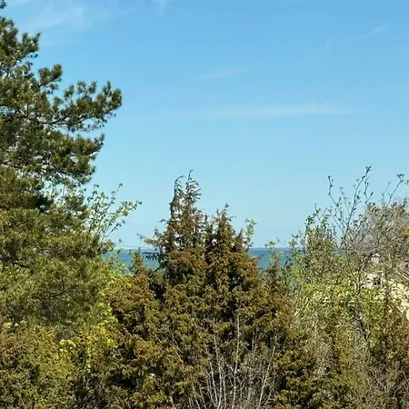 Sadama Petite With Private Mini *