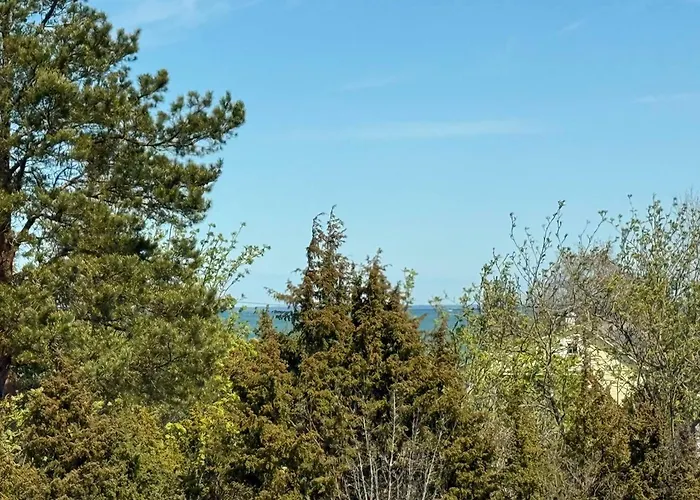 Sadama Petite With Private Mini *